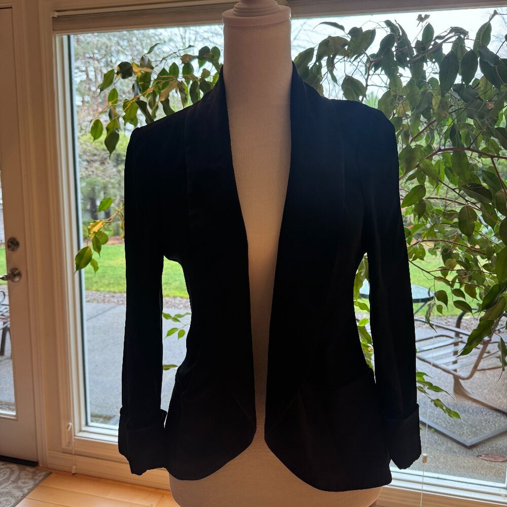 Aritzia Wilfred Blazer